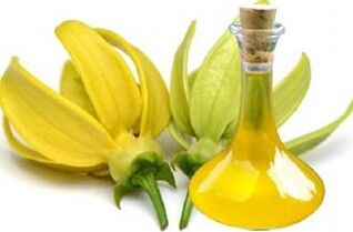 huile d'ylang ylang pour le rajeunissement de la peau